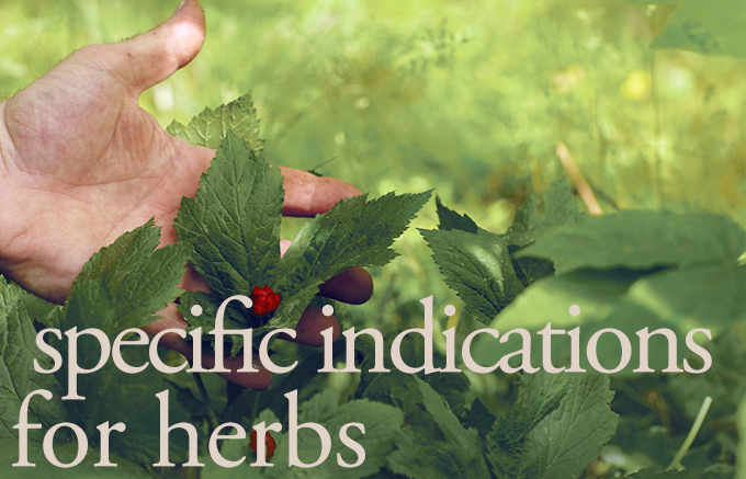 specific indication for herbs