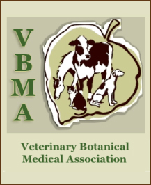 VBMA